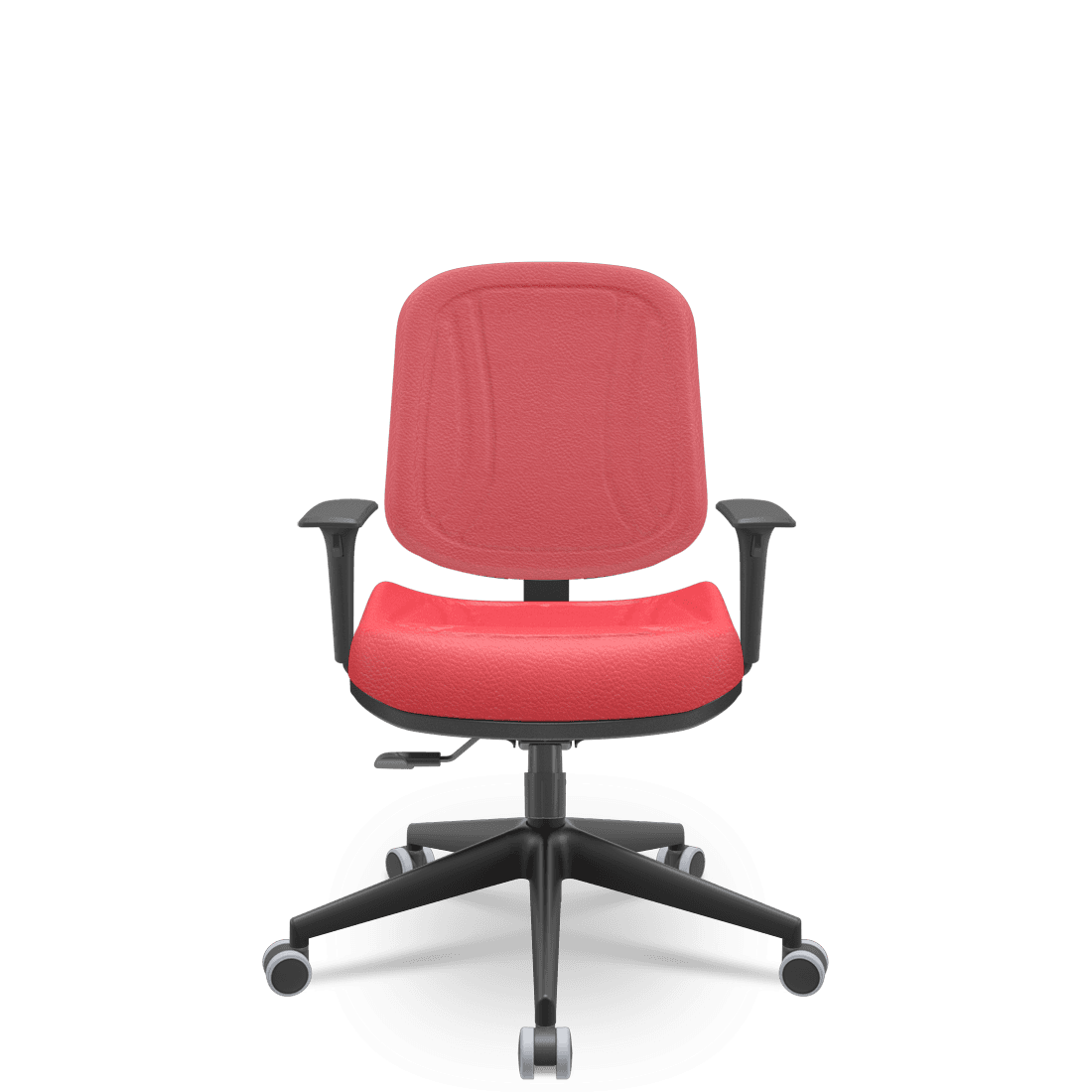 Premium Diretor - Photo 4